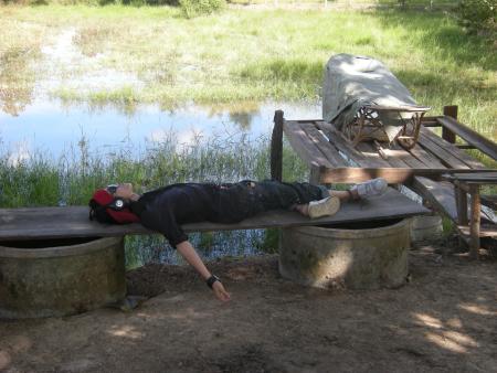 Human Sculpture Workshop (Set of 55 Photographs)