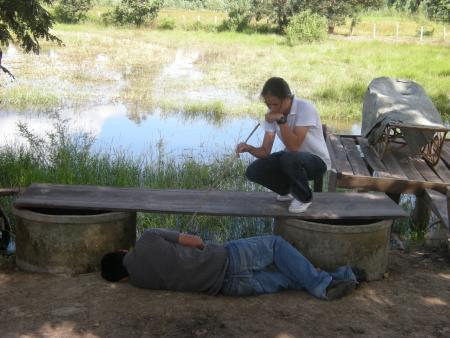 Human Sculpture Workshop (Set of 55 Photographs)