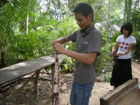 Tie Dye Workshop (Set of 94 Photographs)