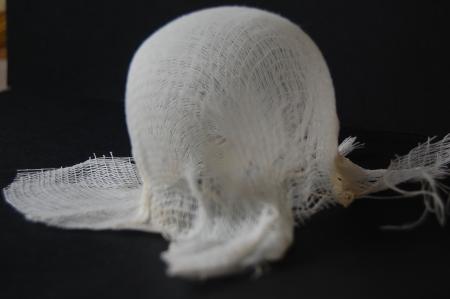 Casting Off a Memory — Detail (Set of 5 Photographs)